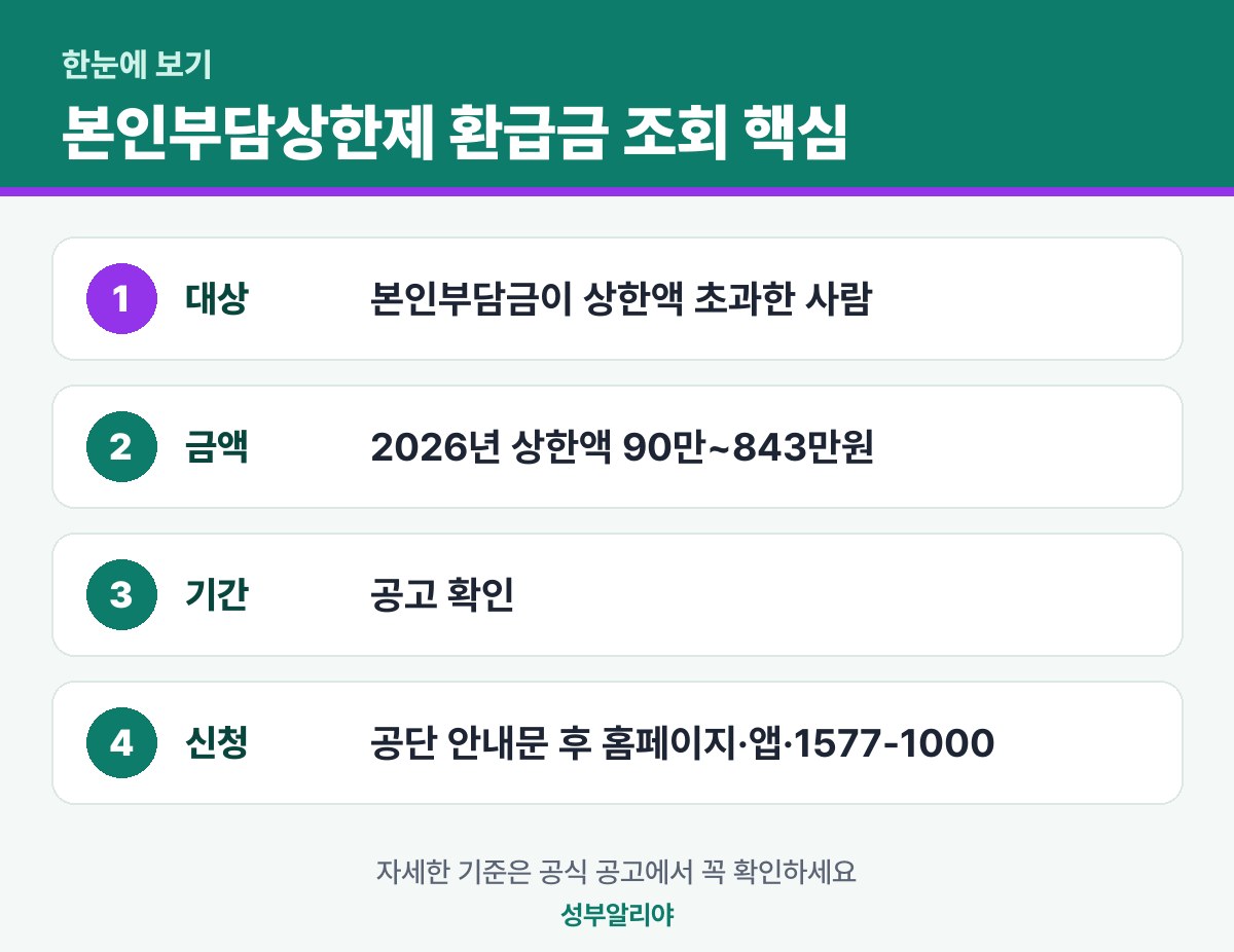 본인부담상한제 환급금 조회 한눈에 보기 — 대상·금액·기간·신청