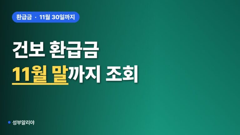 “내 보험료 더 냈나?” 건보 환급금, 11월 말까지 이 순서로 조회하세요!