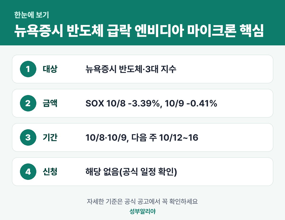 뉴욕증시 반도체 급락 엔비디아 마이크론 한눈에 보기 — 대상·금액·기간·신청
