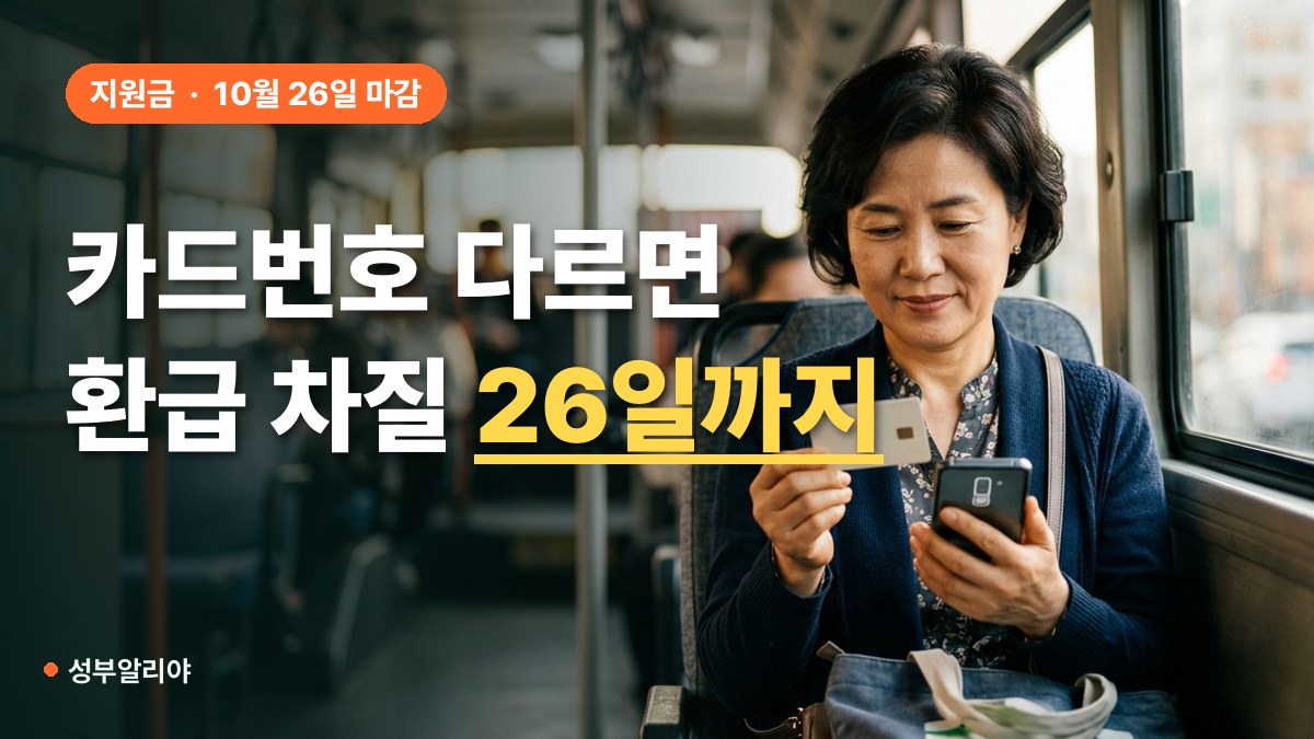 모두의카드 카드정보 현행화 환급 대표 이미지