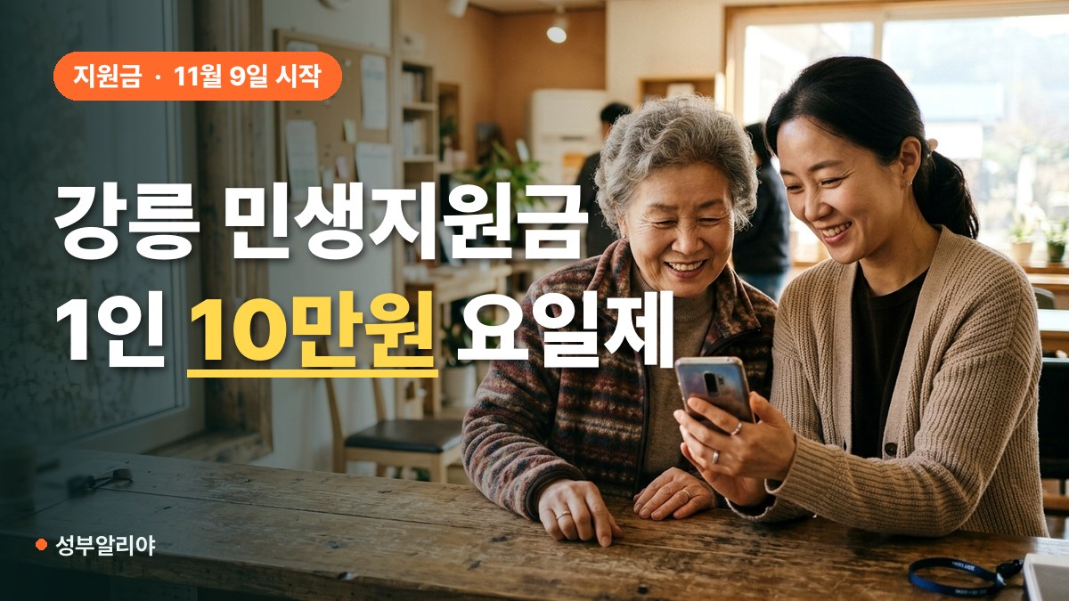 강릉 민생안정지원금 11월 9일 요일제 대표 이미지