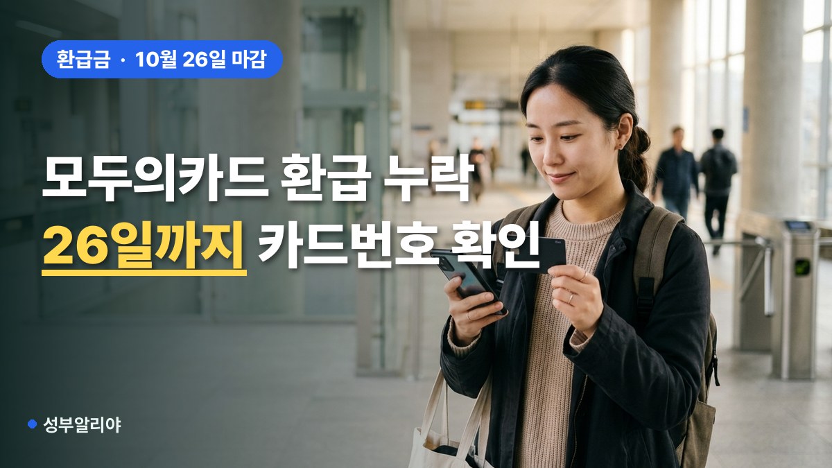 모두의카드 카드정보 현행화 환급 누락 대표 이미지