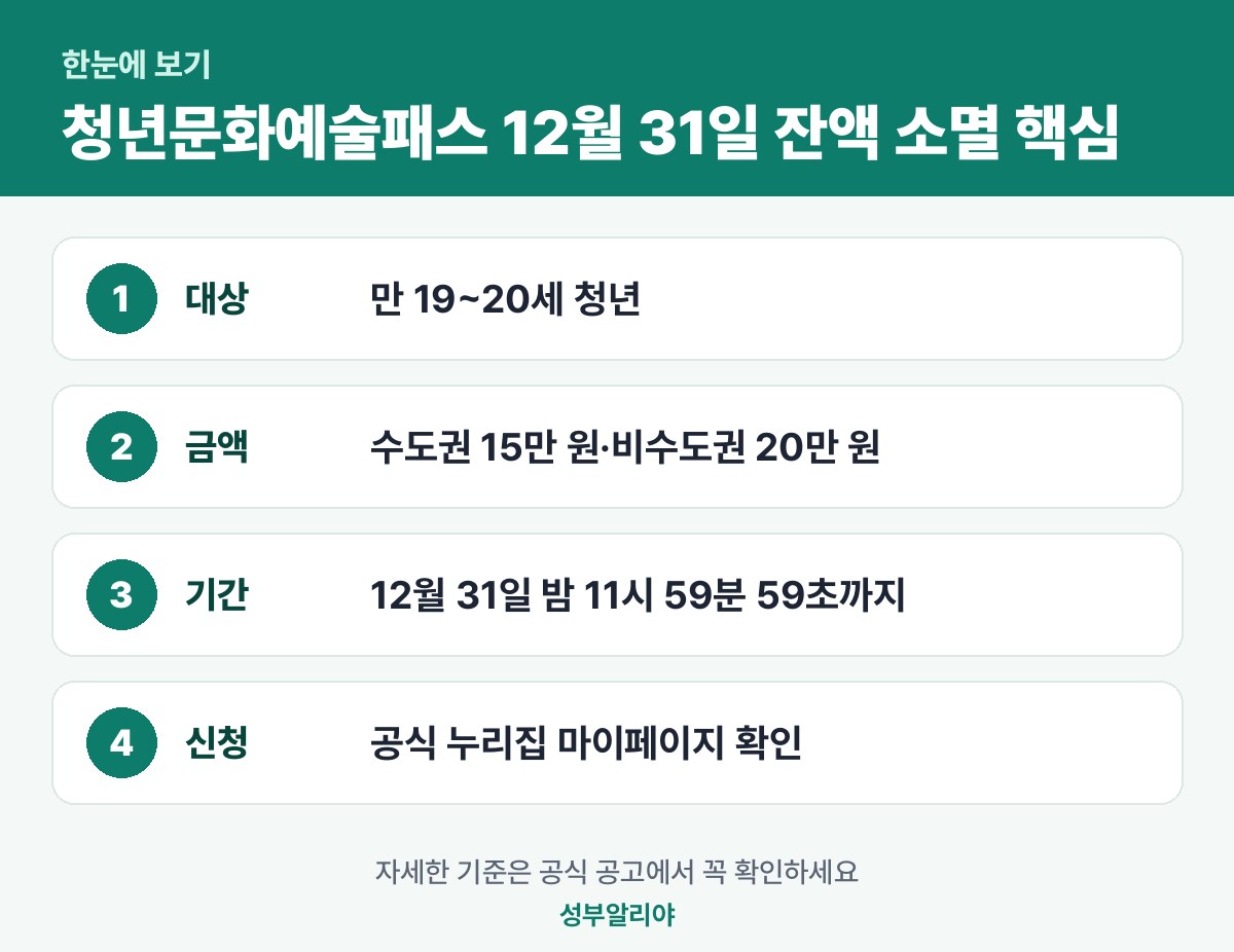 청년문화예술패스 12월 31일 잔액 소멸 한눈에 보기 — 대상·금액·기간·신청