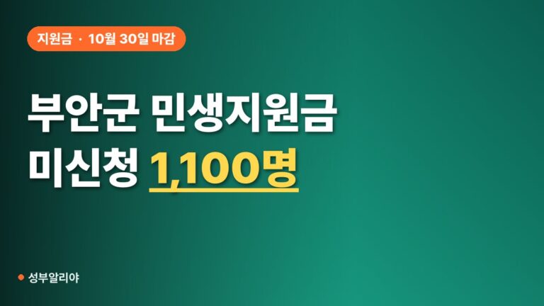 부안군 민생지원금 미신청 마감 30일, 1인당 30만원 놓치면 끝일까